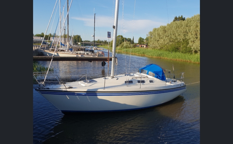 Sunwind 311-kuva-8